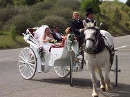 wedding coloma club